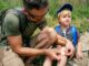 Father with small son hiking outdoors in summer nature, putting plaster on knee