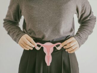 Woman hands holding uterus, female reproductive system ,PCOS, gynecologic and cervix cancer concept