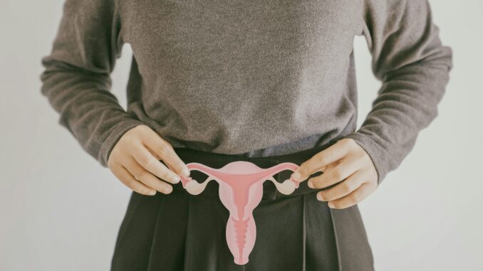 Woman hands holding uterus, female reproductive system ,PCOS, gynecologic and cervix cancer concept
